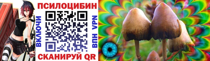 Псилоцибиновые грибы мухоморы  блэк спрут онион  Будённовск 