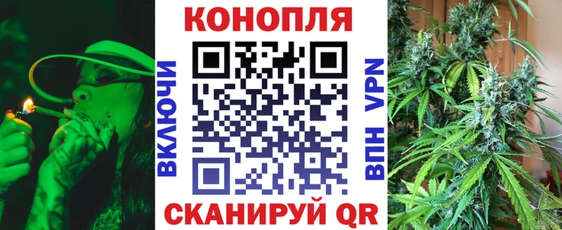Бошки марихуана THC 21%  Будённовск 
